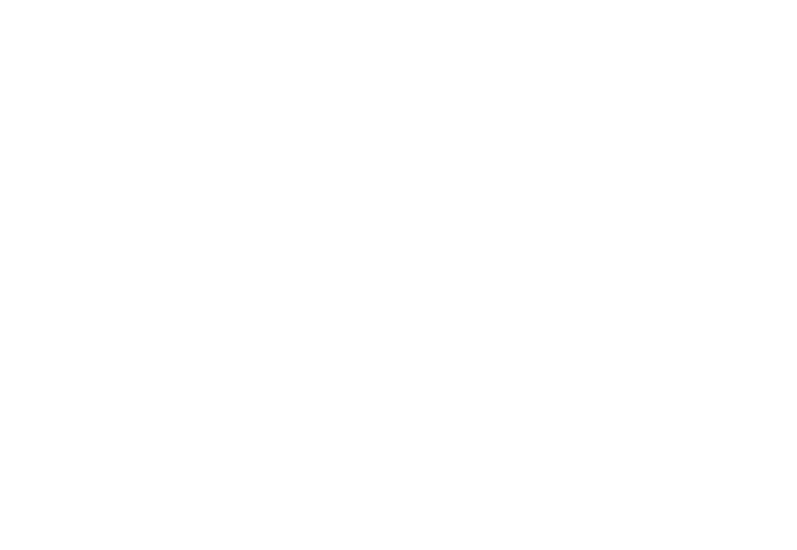 Maggi