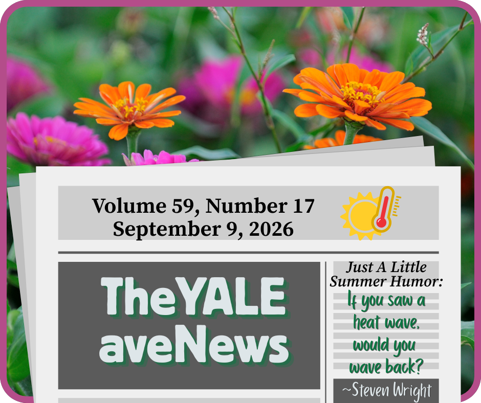 Volume 59, Number 17