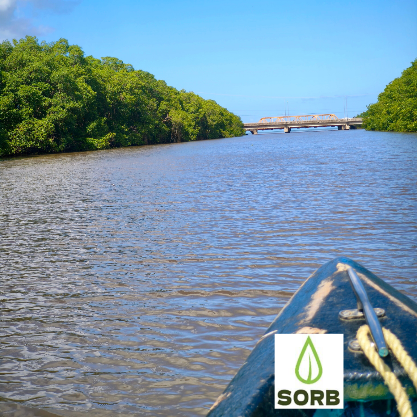 Work With Us — SORB Project