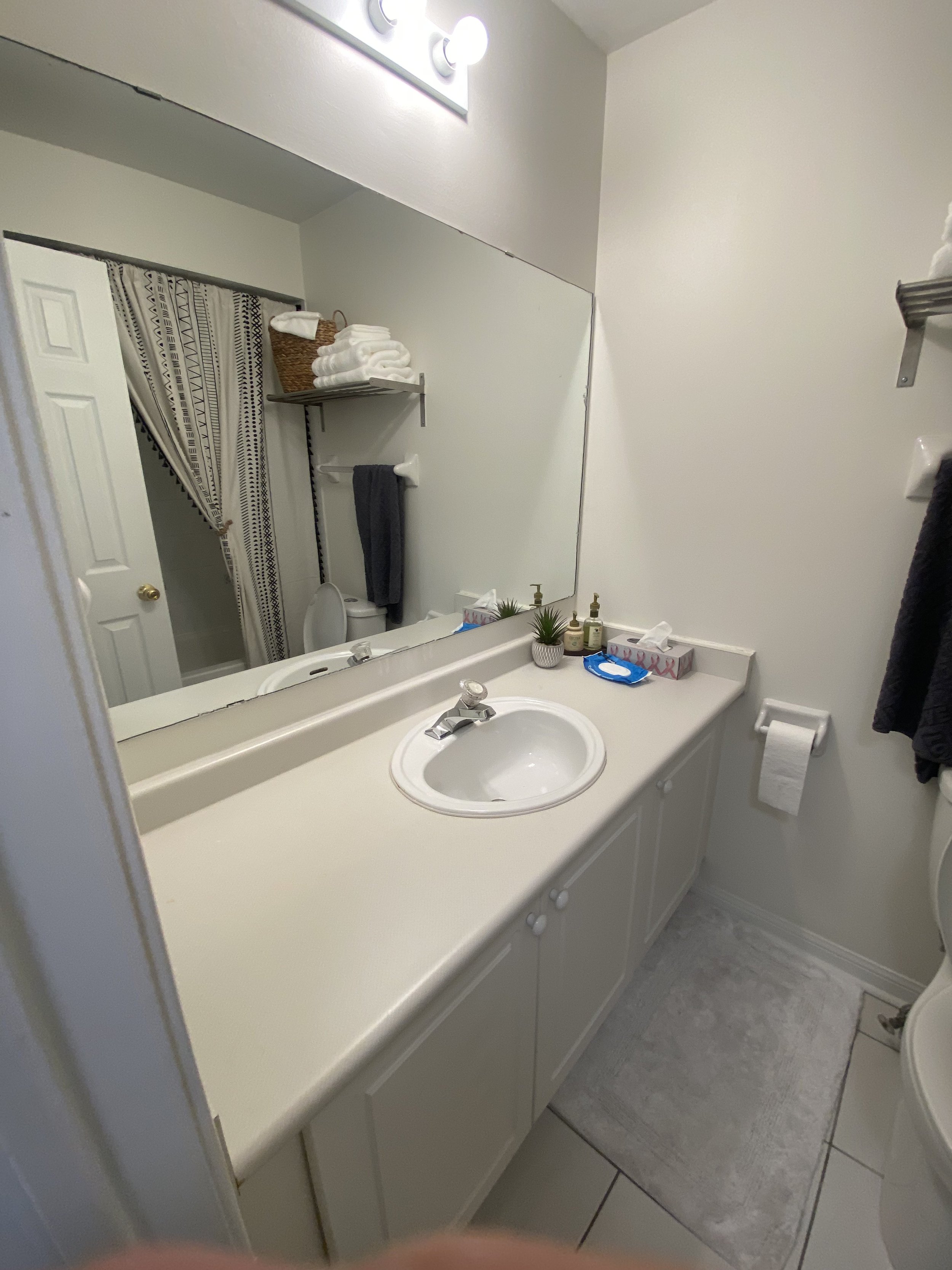Bathroom with white countertop, sink, large mirror, shelf with towels, small potted plant, and toiletries. A towel hangs on the wall, and there is a toilet paper holder.