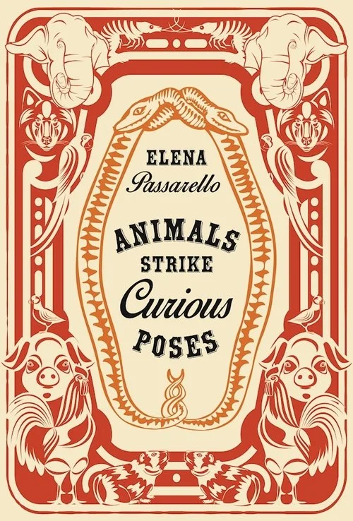 The cover of Animals Strike Curious Poses by Elena Passarello. It is beige with black text in the middle surrounded by two intertwining orange snakes and a red frame covered in illustrations of various animals.