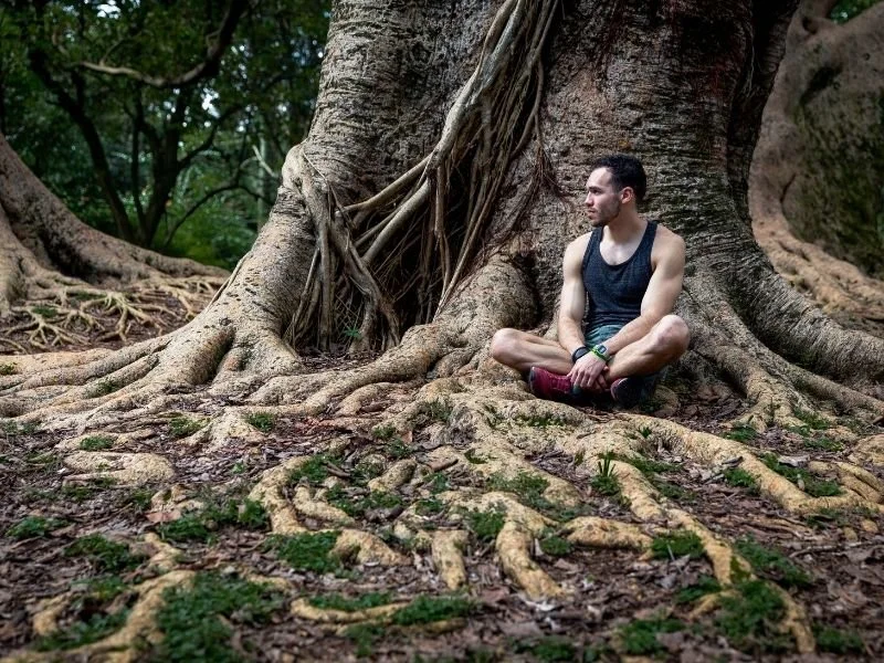 Is psilocybin nature’s way of reminding us we’re not in control?
