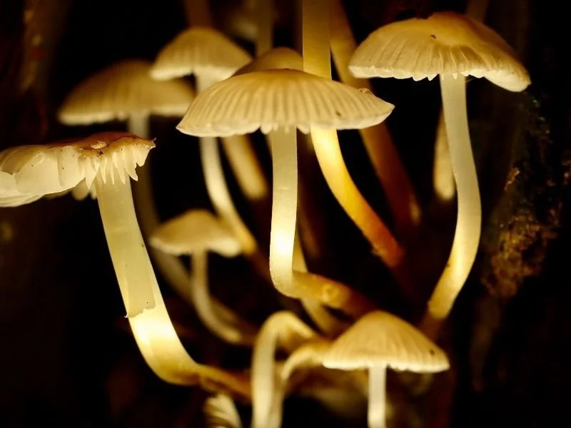 The first 48 hours after a retreat: What to expect