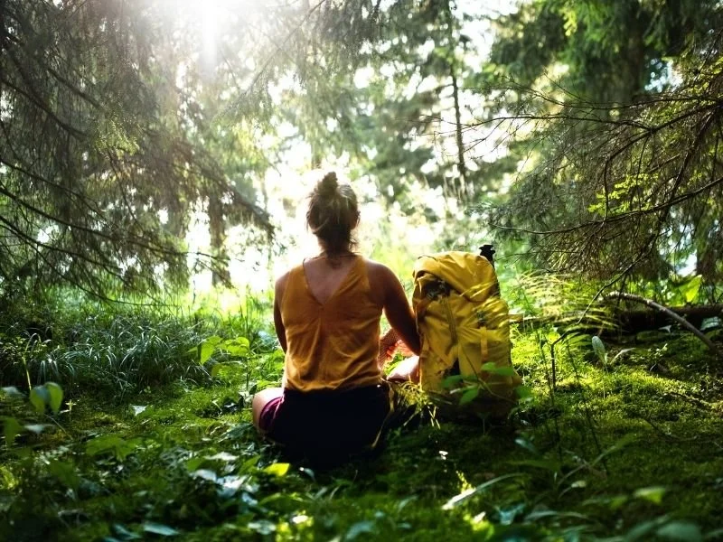 Preparing mentally for a mushroom retreat