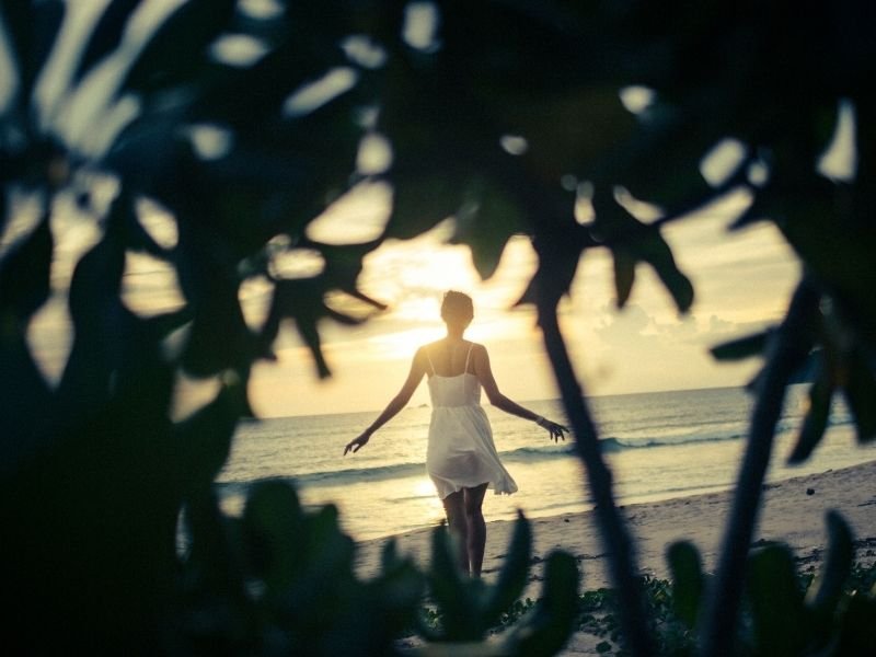 Where to do Ayahuasca in USA: Safe options and what to know