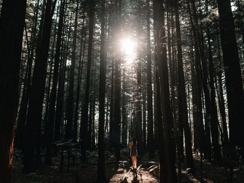 Who qualifies for legal psilocybin services in Oregon?