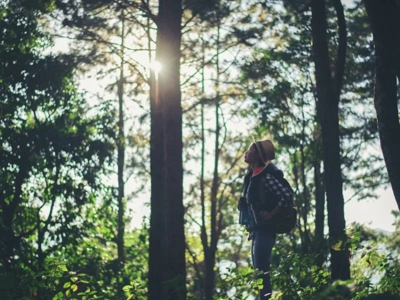 Does psilocybin cause brain damage? What science says