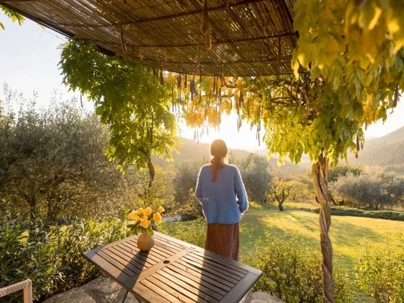 What is included in an all-inclusive psilocybin retreat?