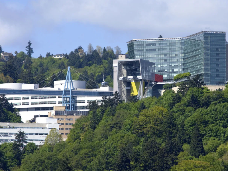 OHSU study shows Oregon’s regulated psilocybin services offer lasting mental health benefits