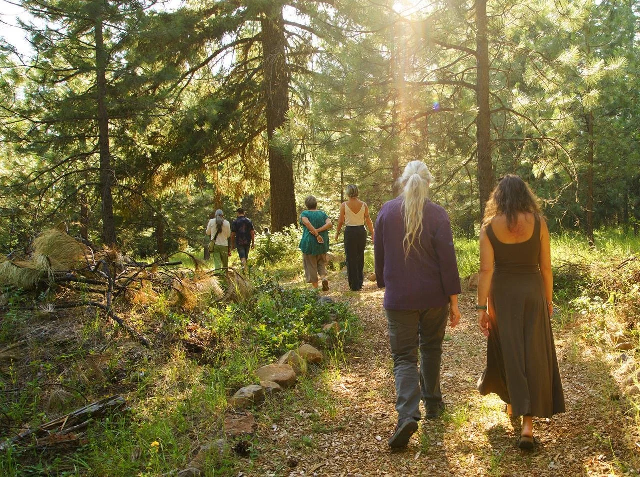 Forest bathing at Oregon psilocybin retreat..jpeg