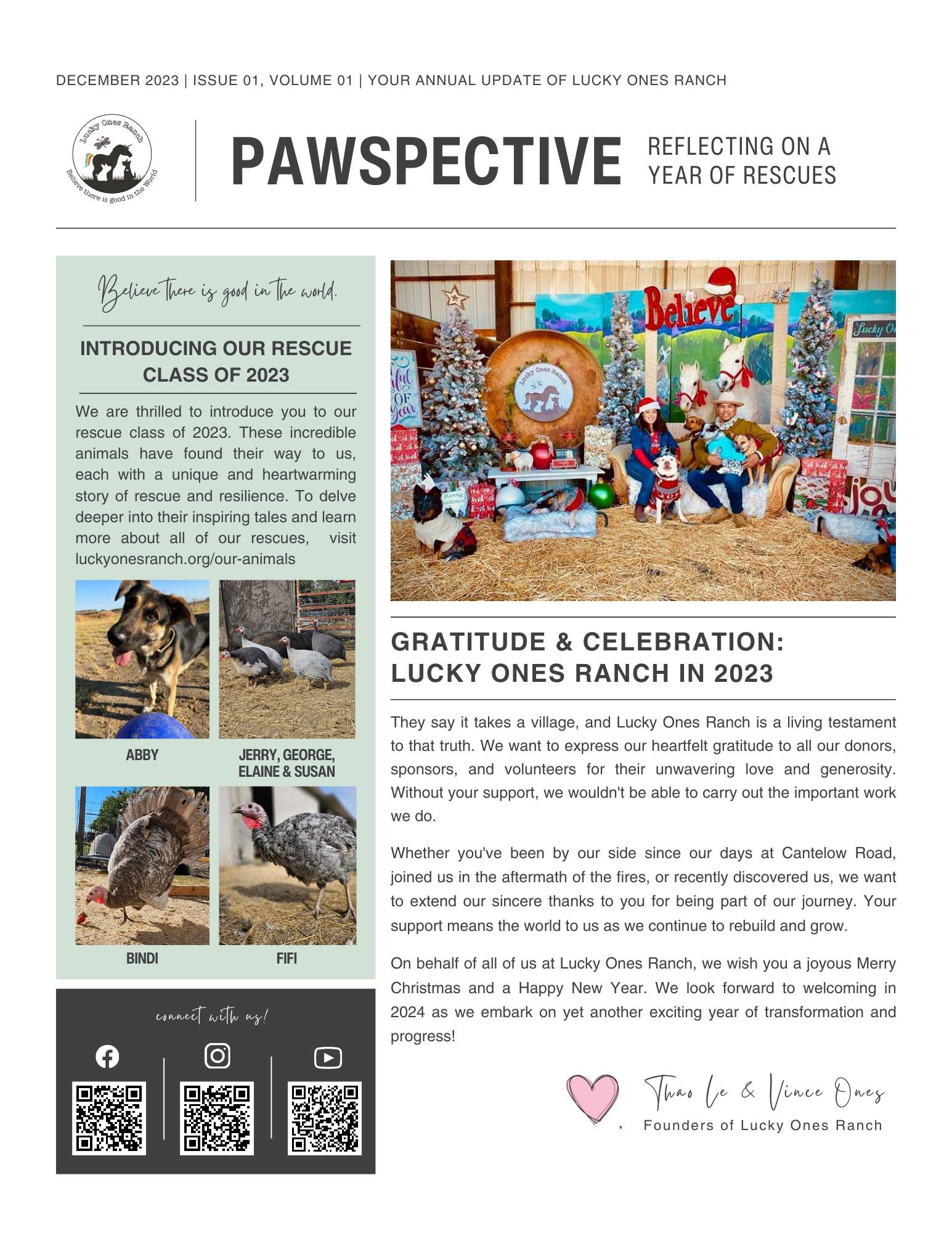 PAWSPECTIVE: A YEAR IN REVIEW