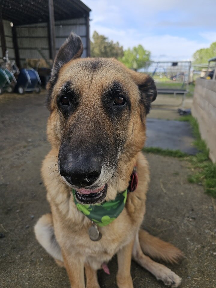 Handsome Edgar 😍