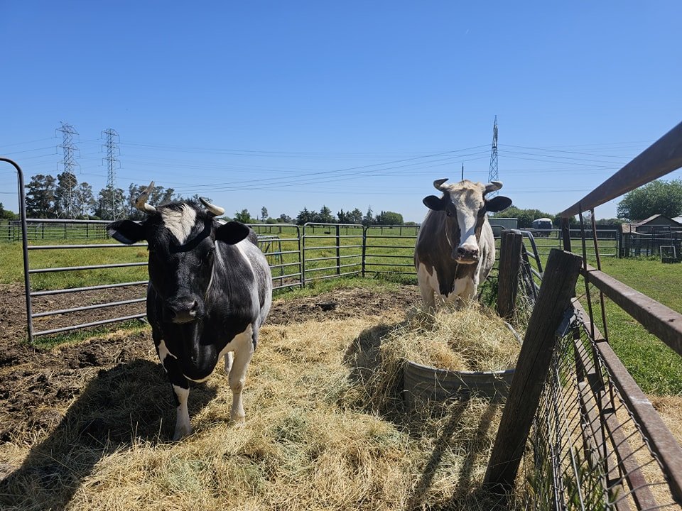 Ciabatta and Crouton hope you all have a MOOVELOUS weekend!