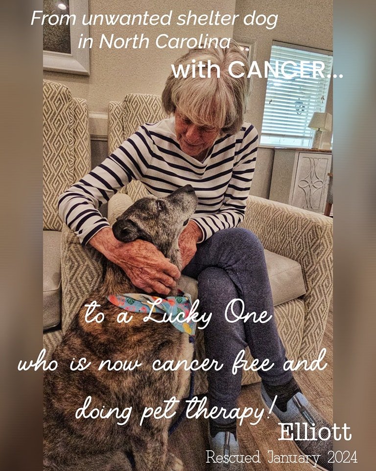 Your support and donations made this possible for Elliott!

We had another fun and fabulous pet therapy visit at our local memory care home.  Elliott is a natural.  He is gentle and loving to all of the residents. 

We are grateful that we could save
