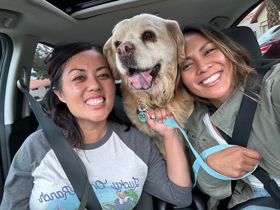 What Joan and I did over the weekend... it was fun and exciting to get a dog who was languishing at Pima Animal Care Center...a Tucson shelter bursting with over 500 other dogs.

The road trip back,  especially taking 395 back, was worth the slightly