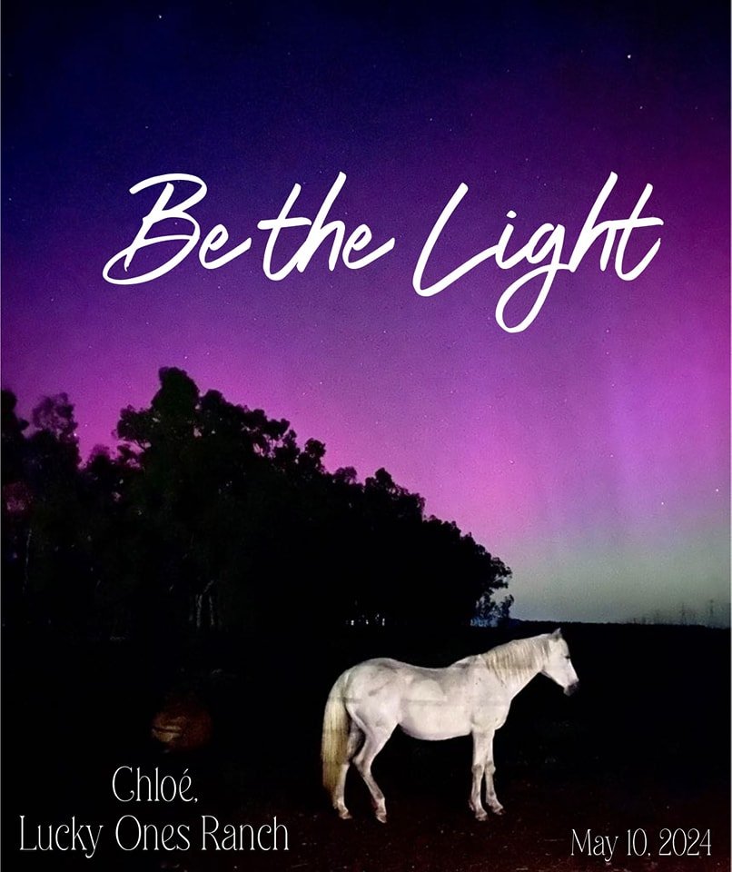 Ahh, so magical!! ✨️🌌

We didn't expect to see the Northern lights,  especially underneath our 'unicorn', Chlo&eacute;!

Share your pics and tell us 
your location! 

#northernlights #unicorn #luckyonesranch 
#animalsanctuary 
#bethelightinthedarkne