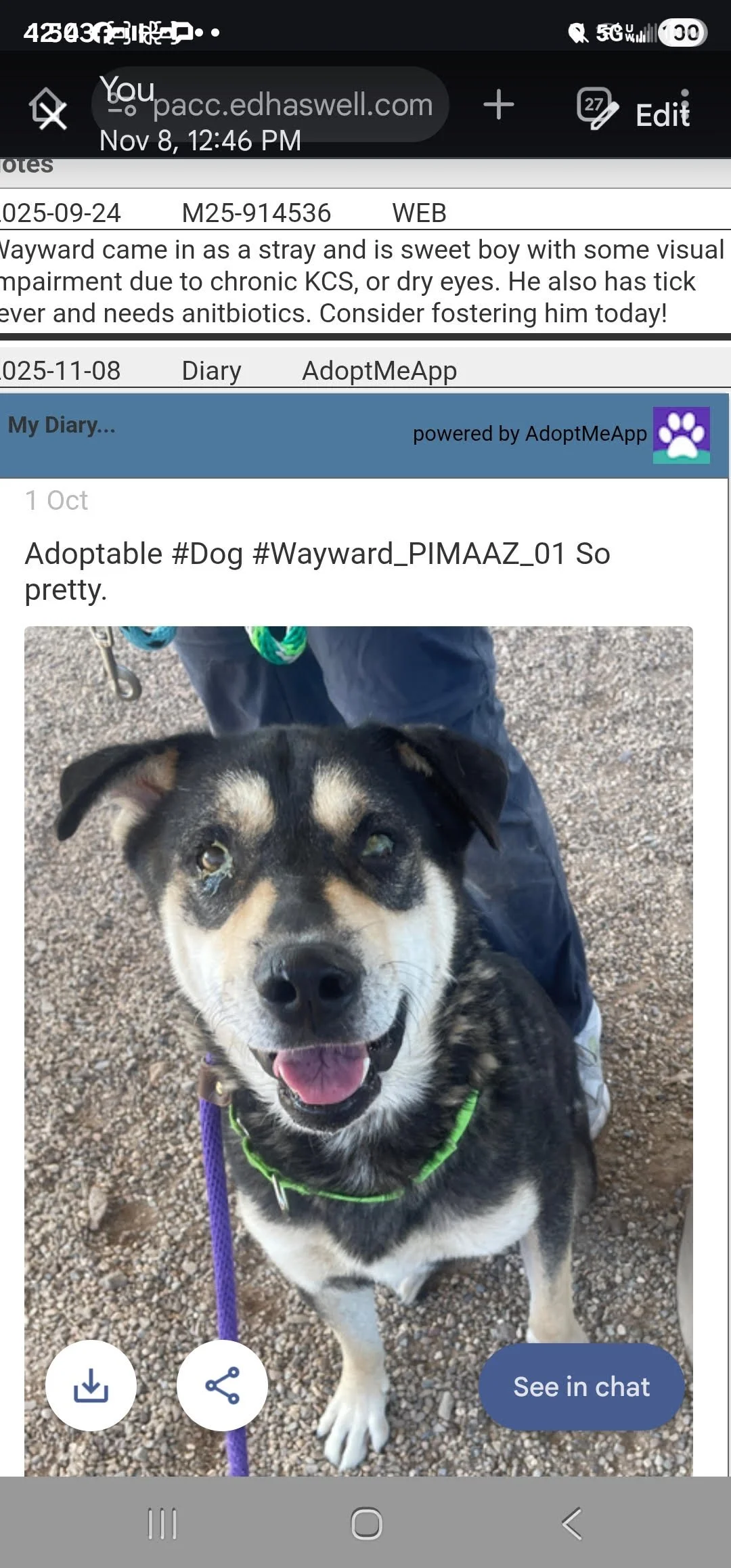 Wayward