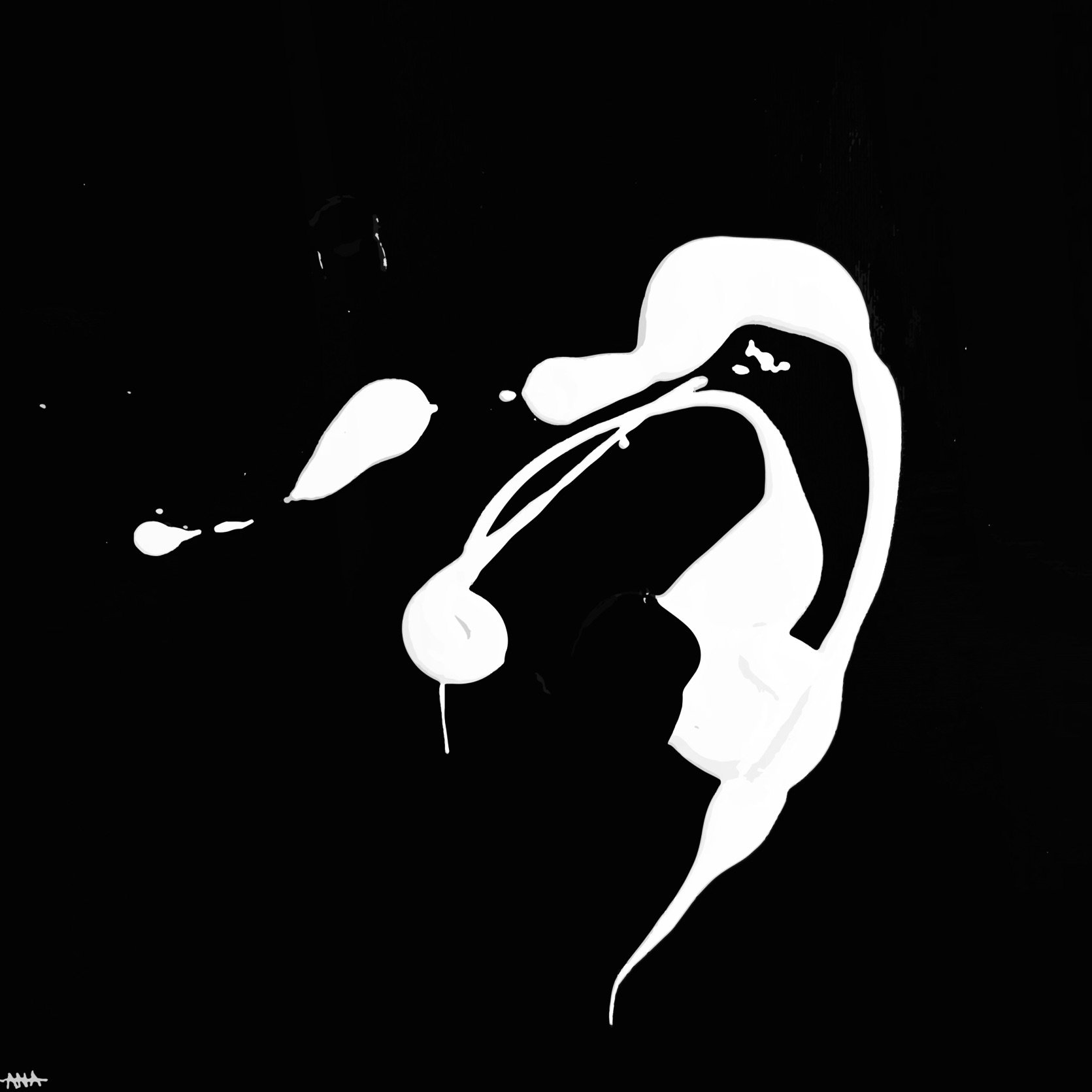 PAREIDOLIA 4