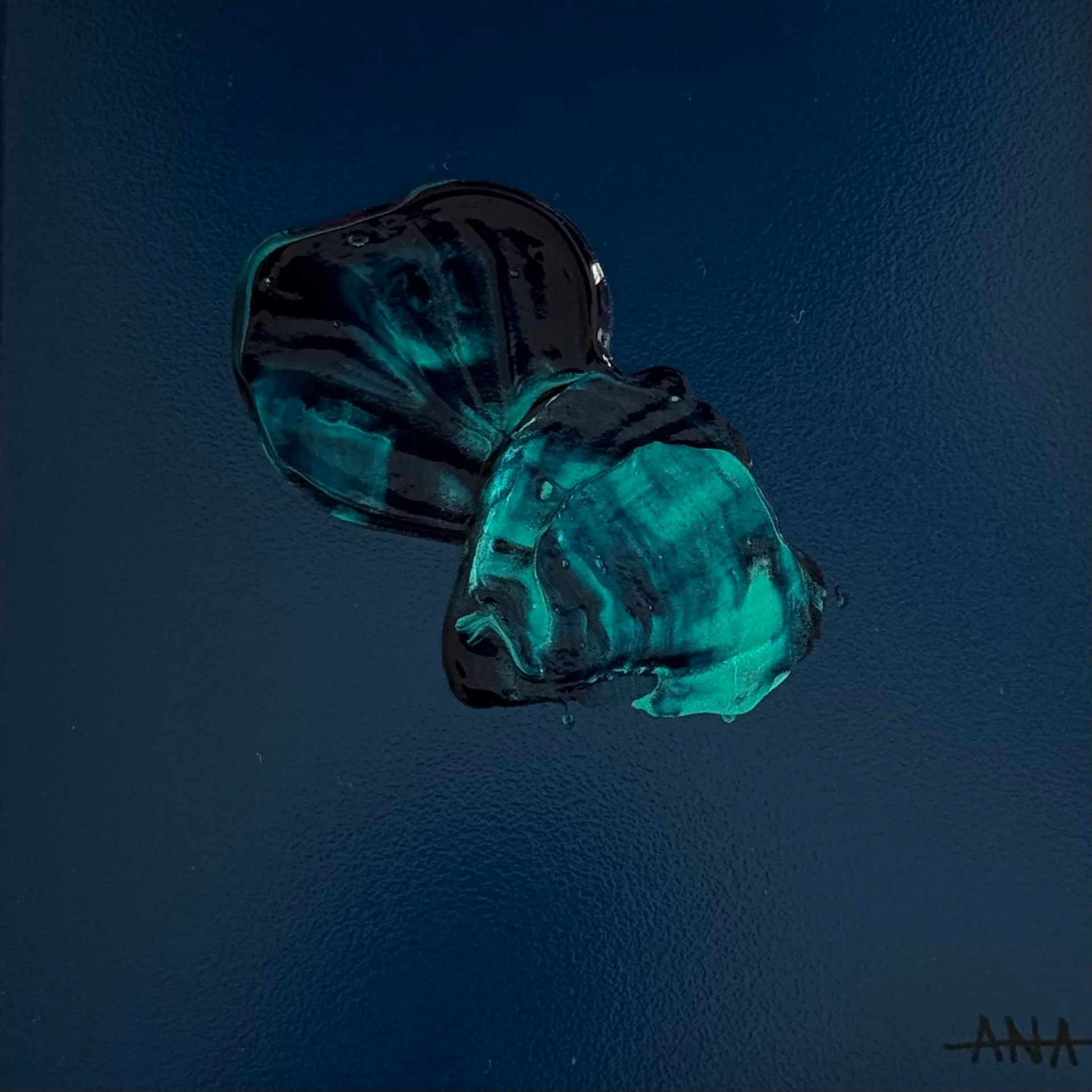 anastasia-gangaev-night-sea-turkey-tail-abstract.jpg