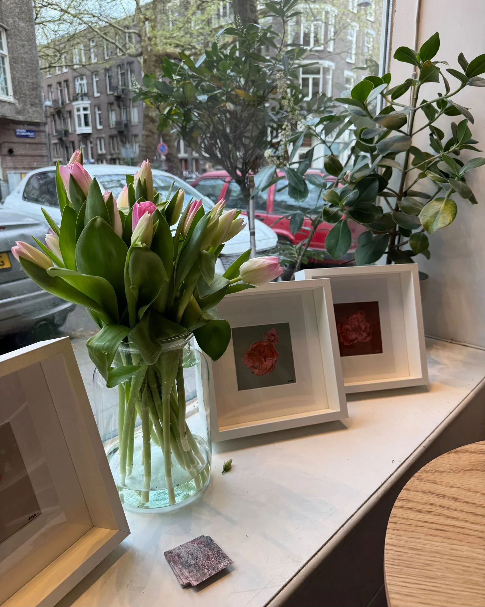 A glass vase with pink and white tulips placed on a white windowsill. The window shows an outside view of parked cars, trees, and residential buildings. Framed pictures are also visible on the windowsill.