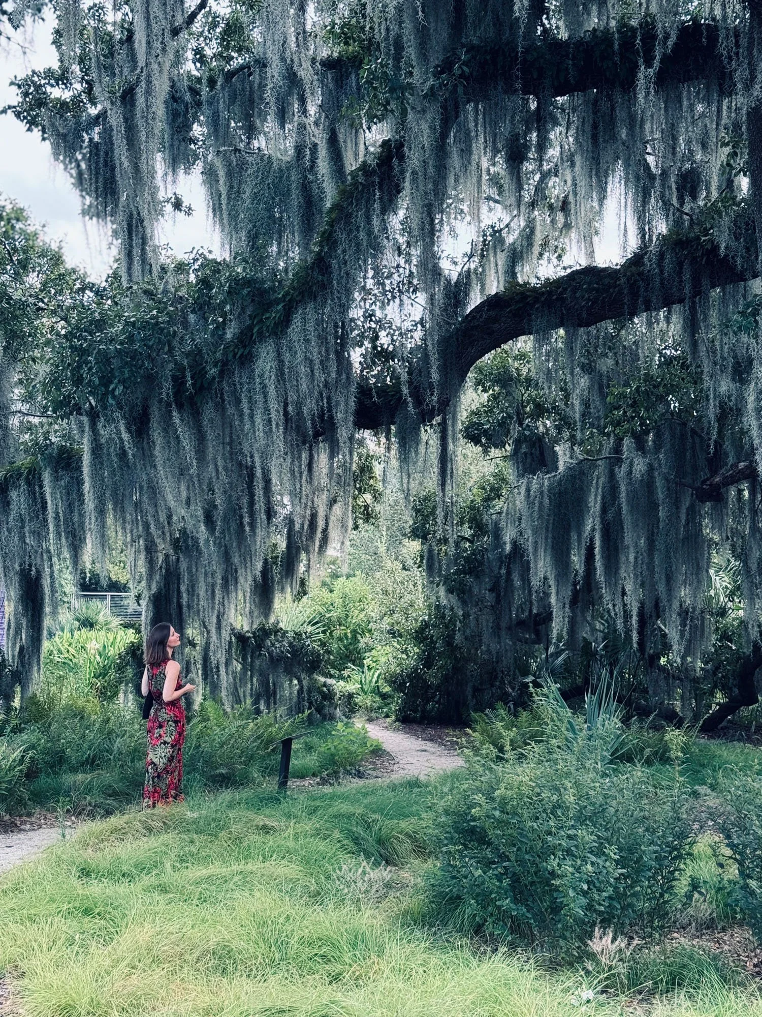 A woman in a red and black patterned dress walks through a lush garden with hanging moss and dense greenery, with tall trees and a winding path.