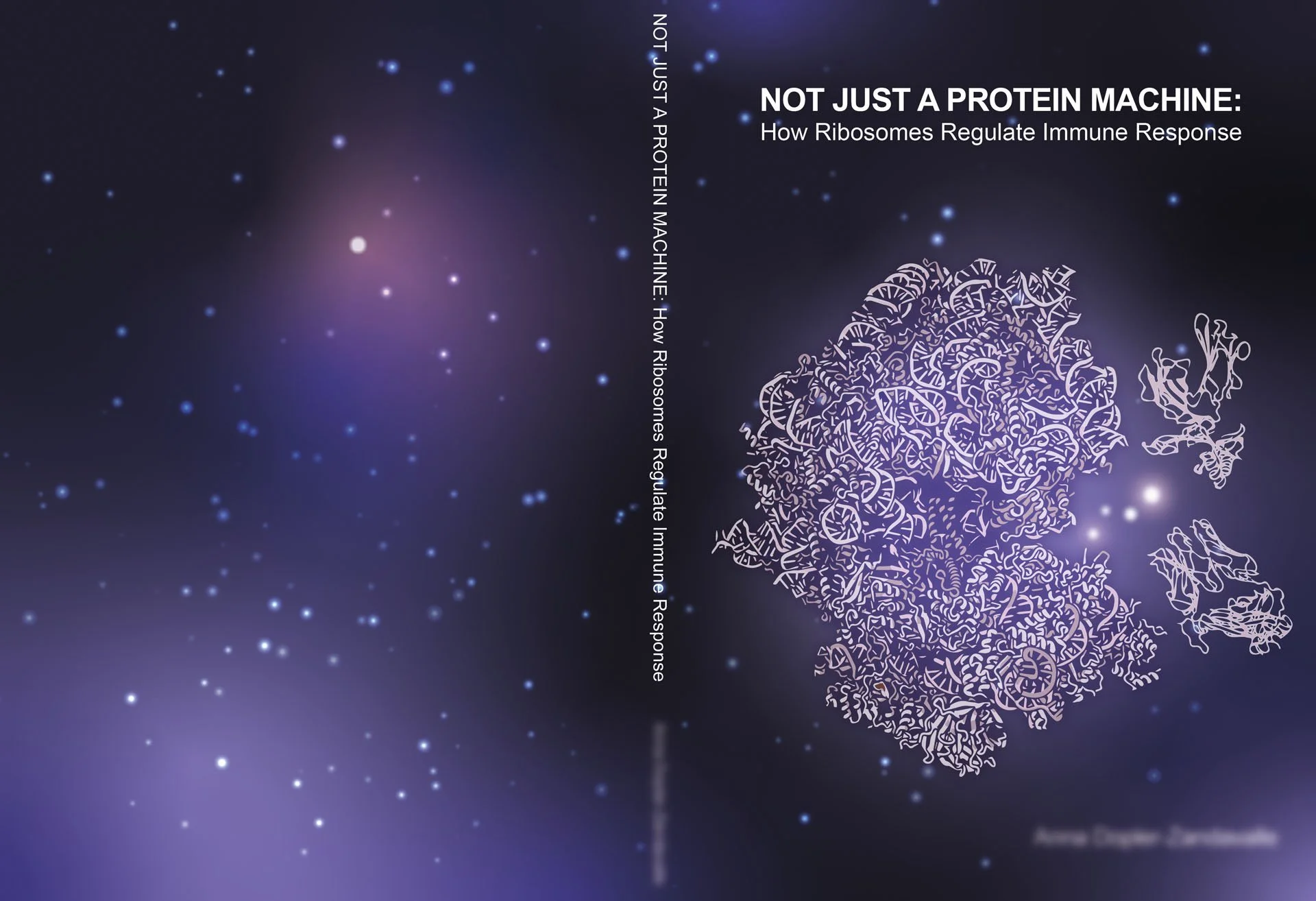 The image features a galaxy background with small glowing stars and a cluster of interconnected, stylized lines forming a human brain outline. The right side of the image contains white text that reads: 'NOT JUST A PROTEIN MACHINE: How Ribosomes Regulate Immune Response.'