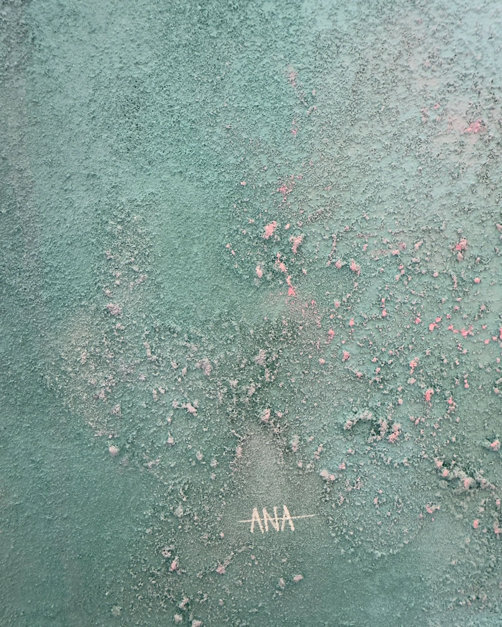 anastasia-gangaev-artist-signature-creative-cloud.jpg