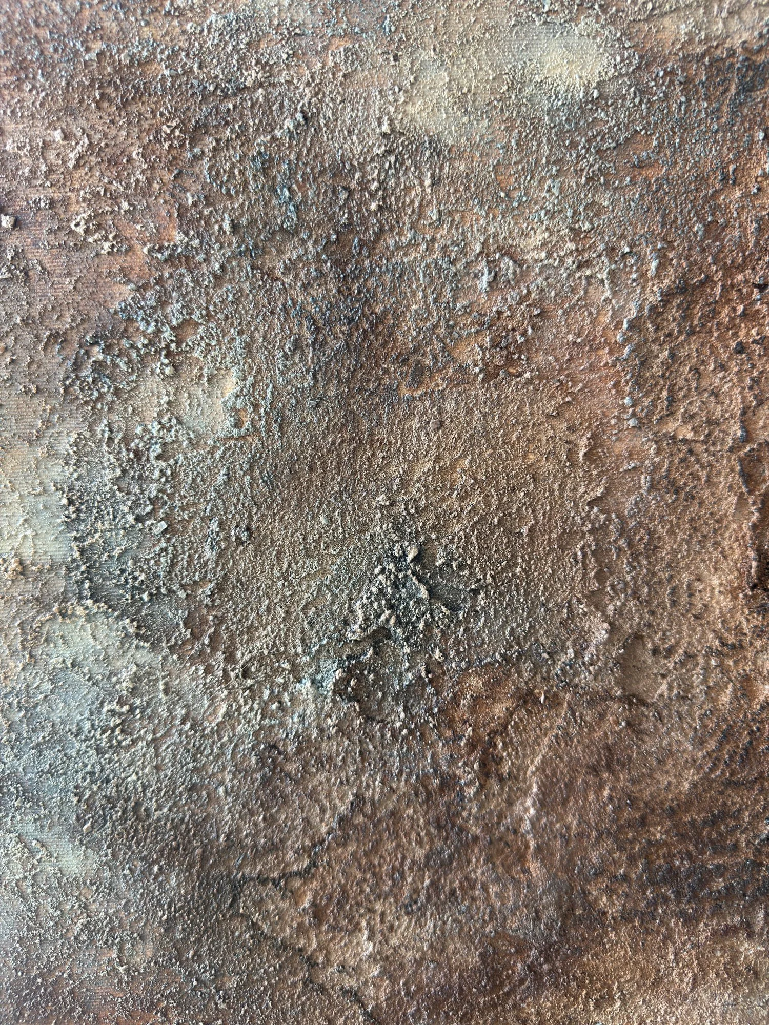 anastasia-gangaev-heavy-texture-forest-loam.jpg