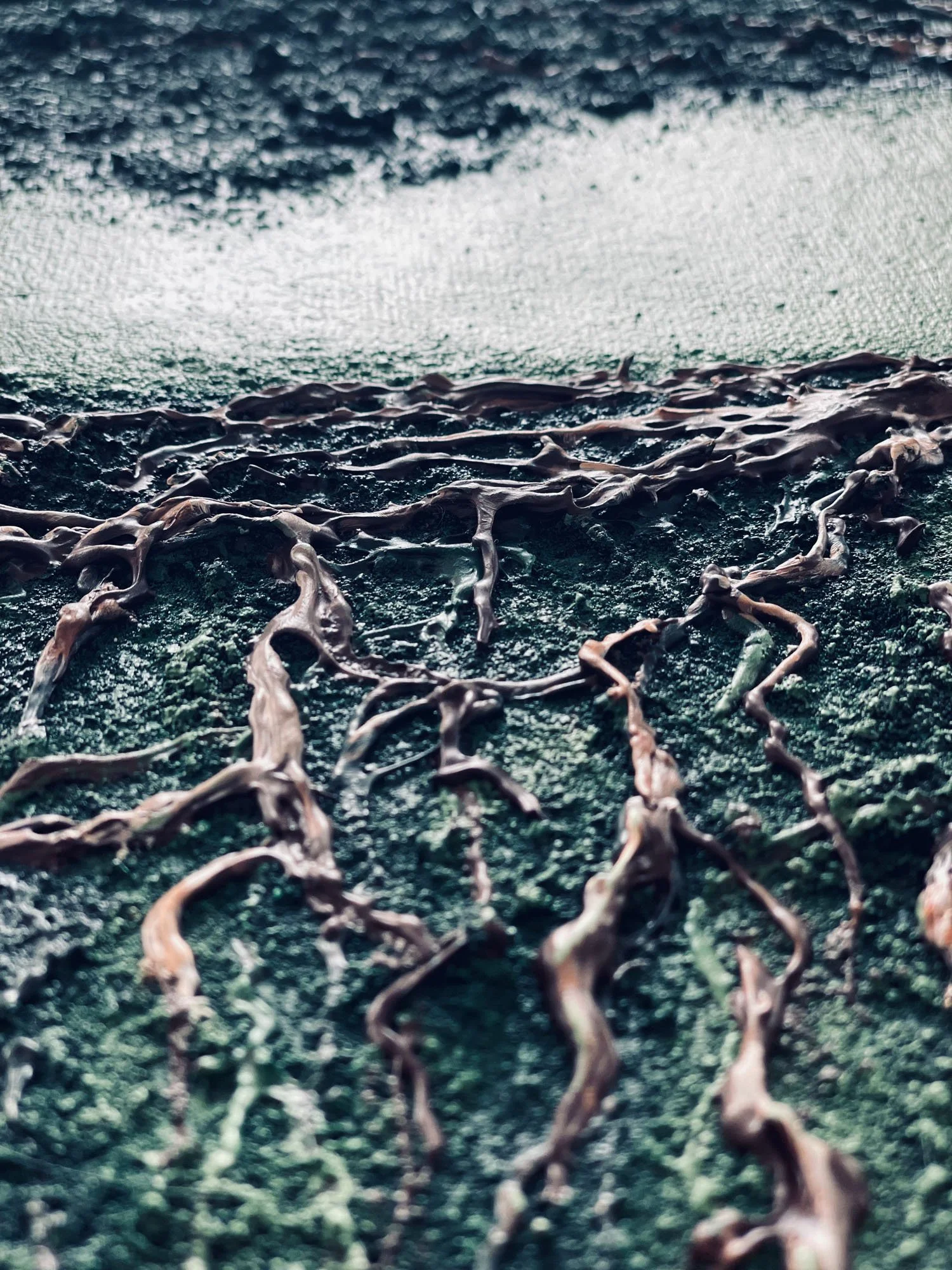 Close-up of tangled, dark brown and green roots or plant fibers on a textured surface.