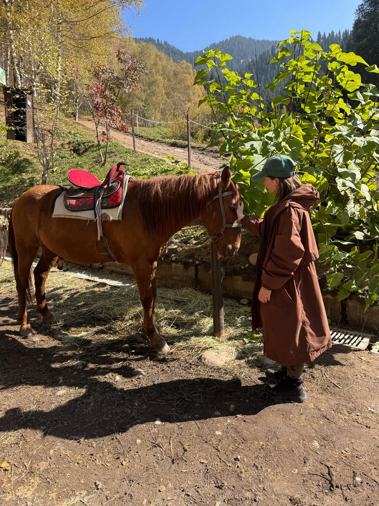 anastasia-gangaev-spririt-fire-horse-spirit.jpg