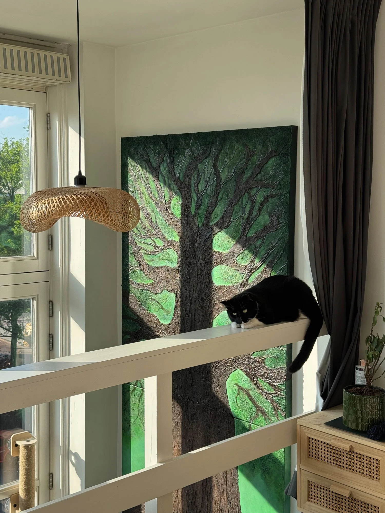 Interior of a room with a large tree mural on the wall, a black and white cat resting on a white shelf, a woven lamp hanging from the ceiling, a window with sunlight, and dark curtains.
