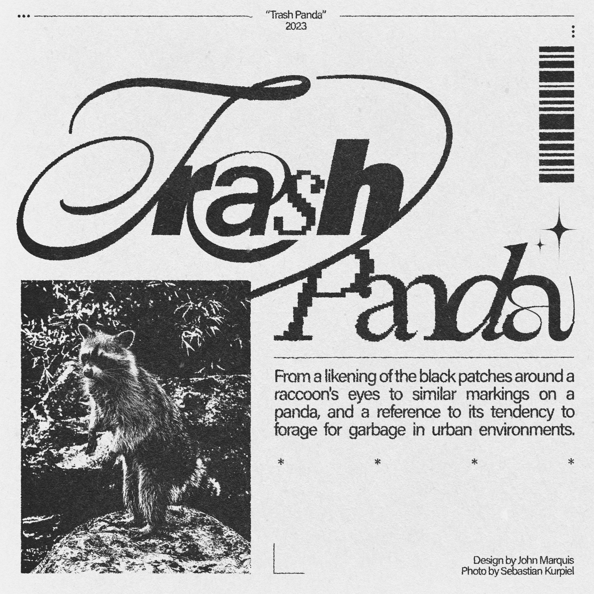 trashpanda.jpg
