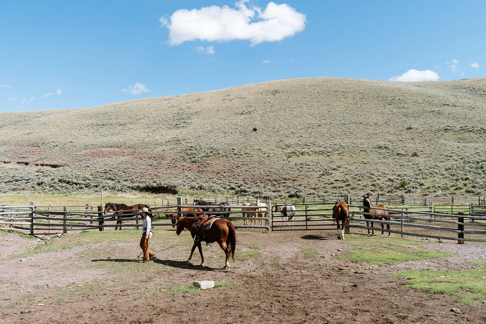 MBPhoto_CowgirlCampBC-22.jpg (Copy) (Copy) (Copy)