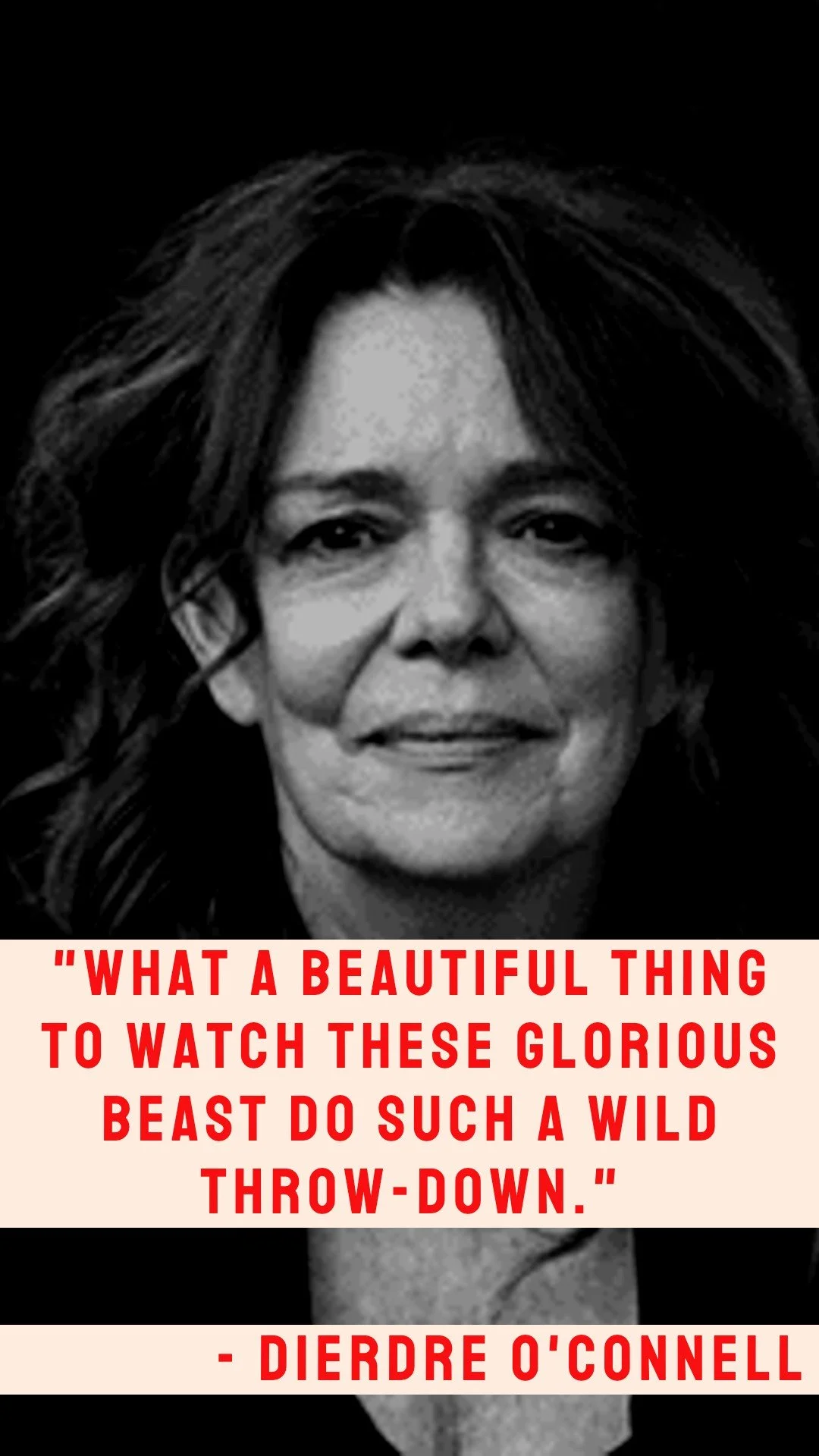 Didi Quote.jpg