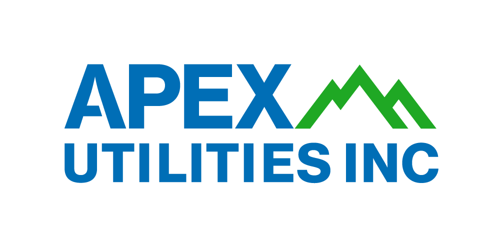 APEX-logo.png