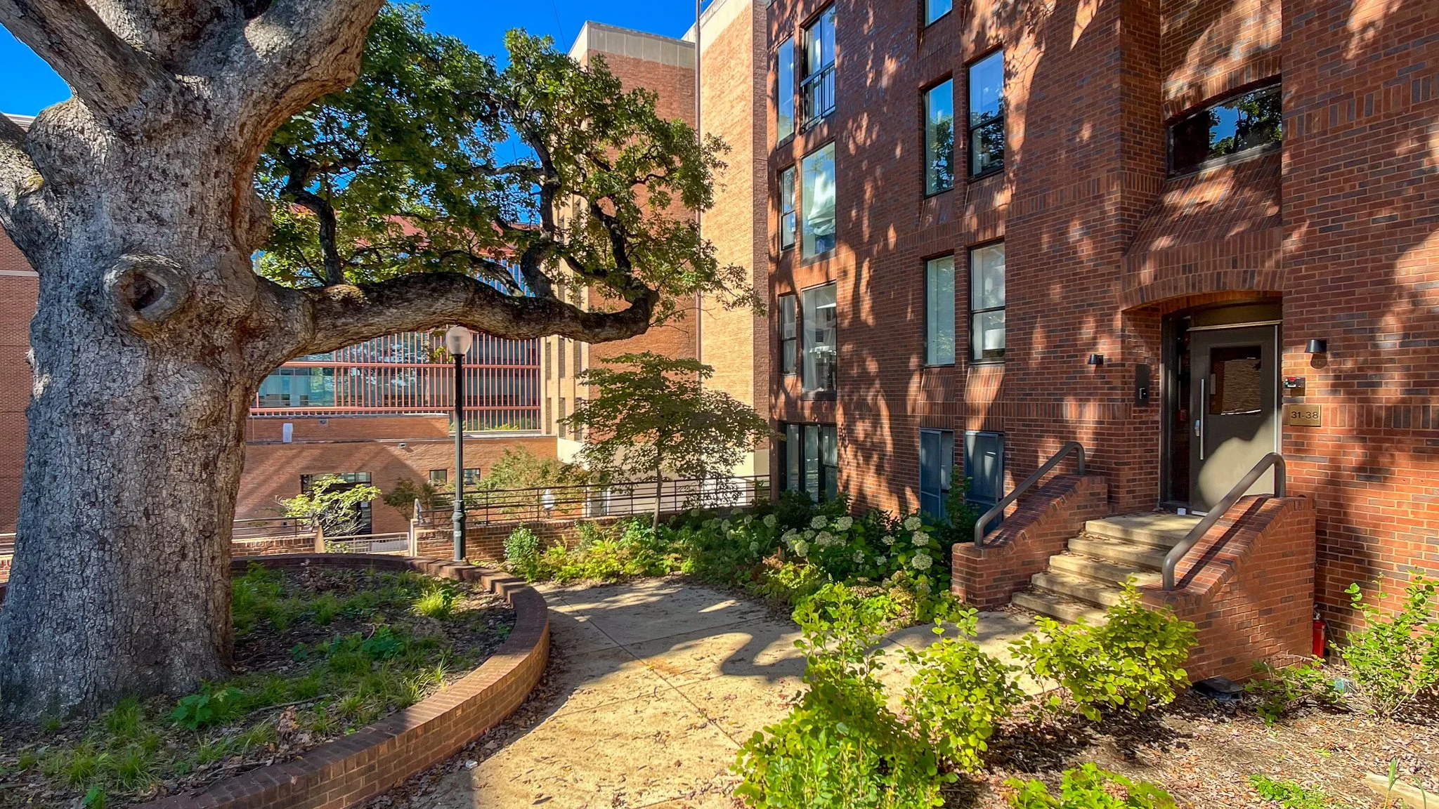 Dorm Renovation<span> Washington, DC</span>