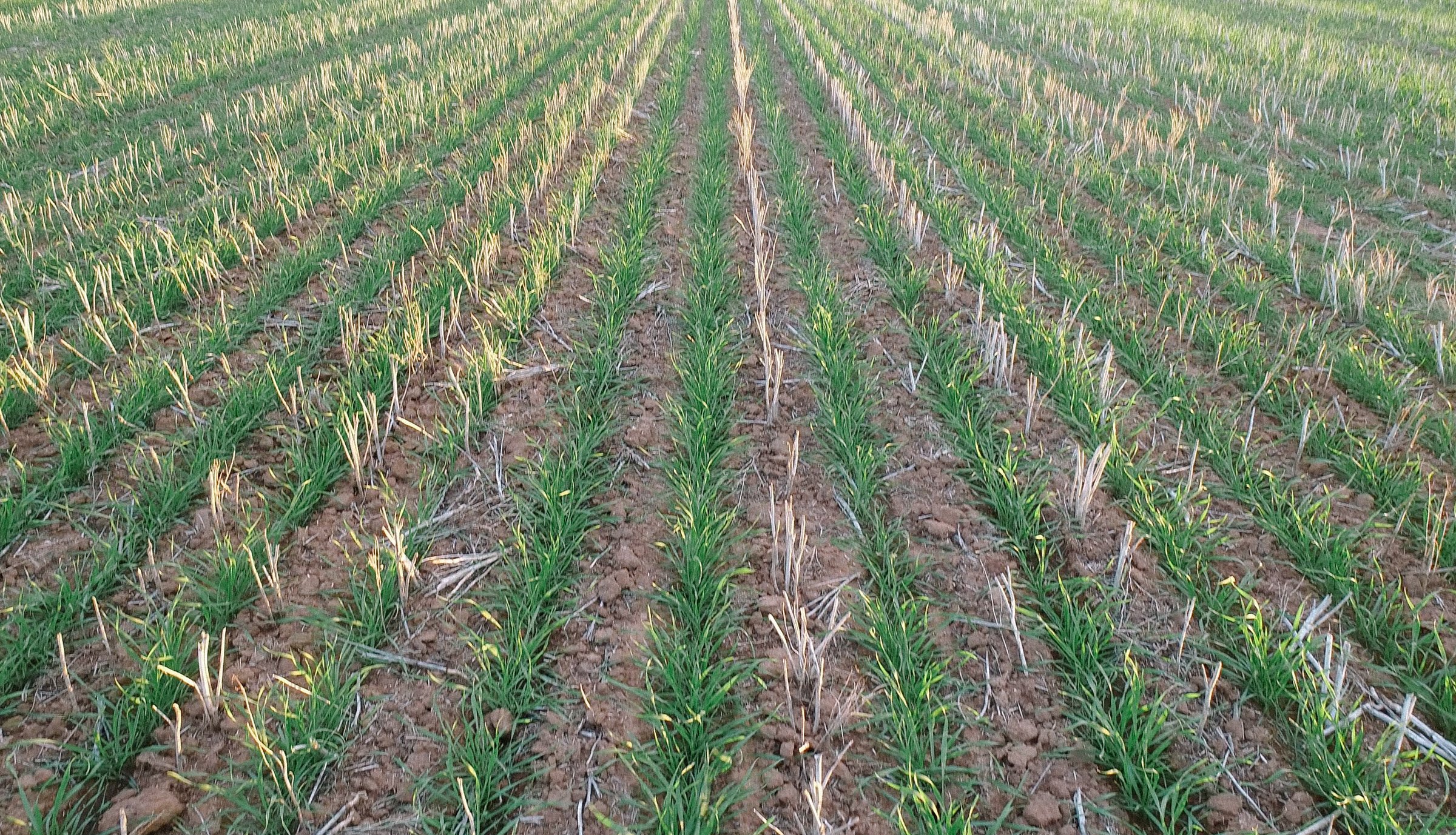 screen shot 2018-07-04 at 6.12.55 am.JPG