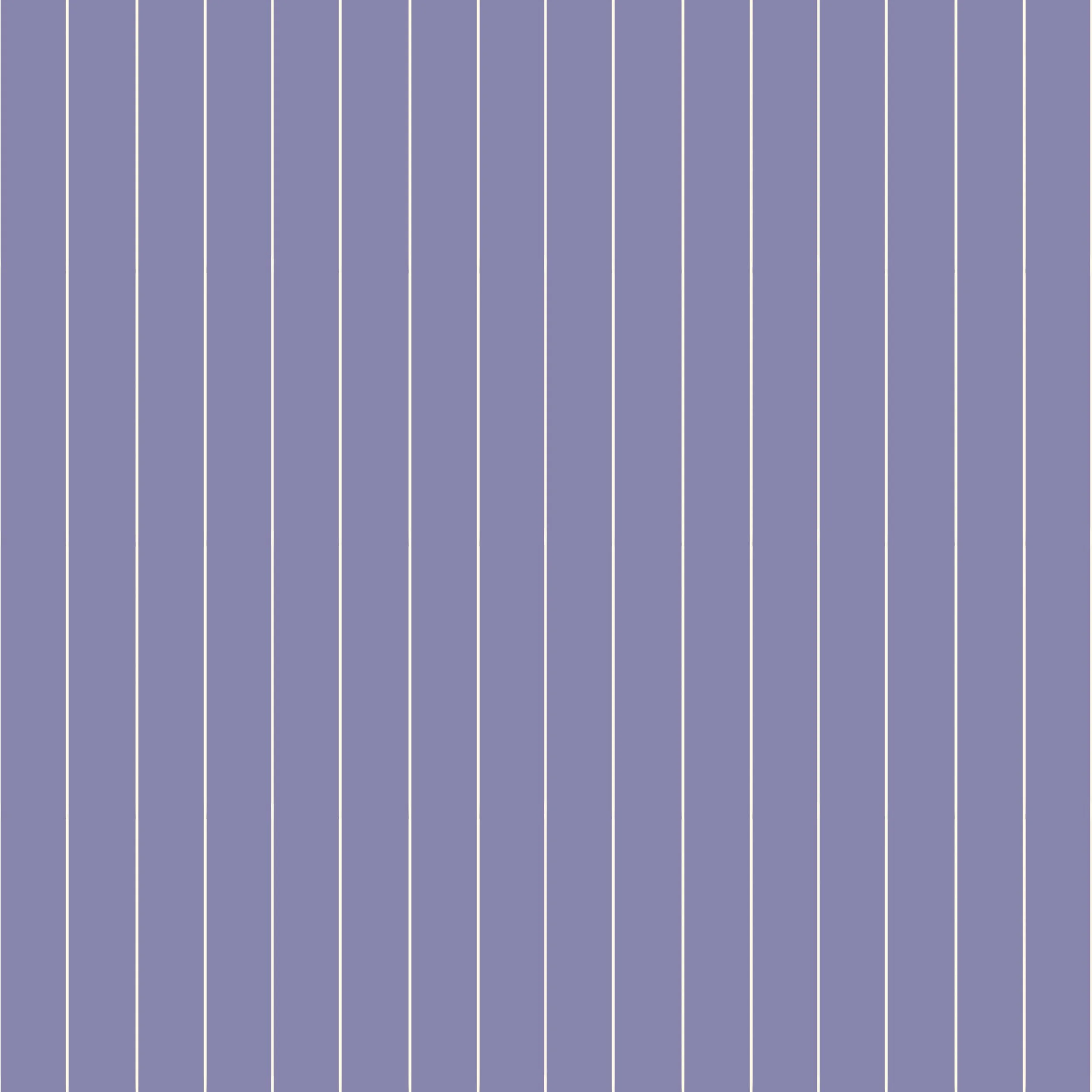 Big stripe.jpg