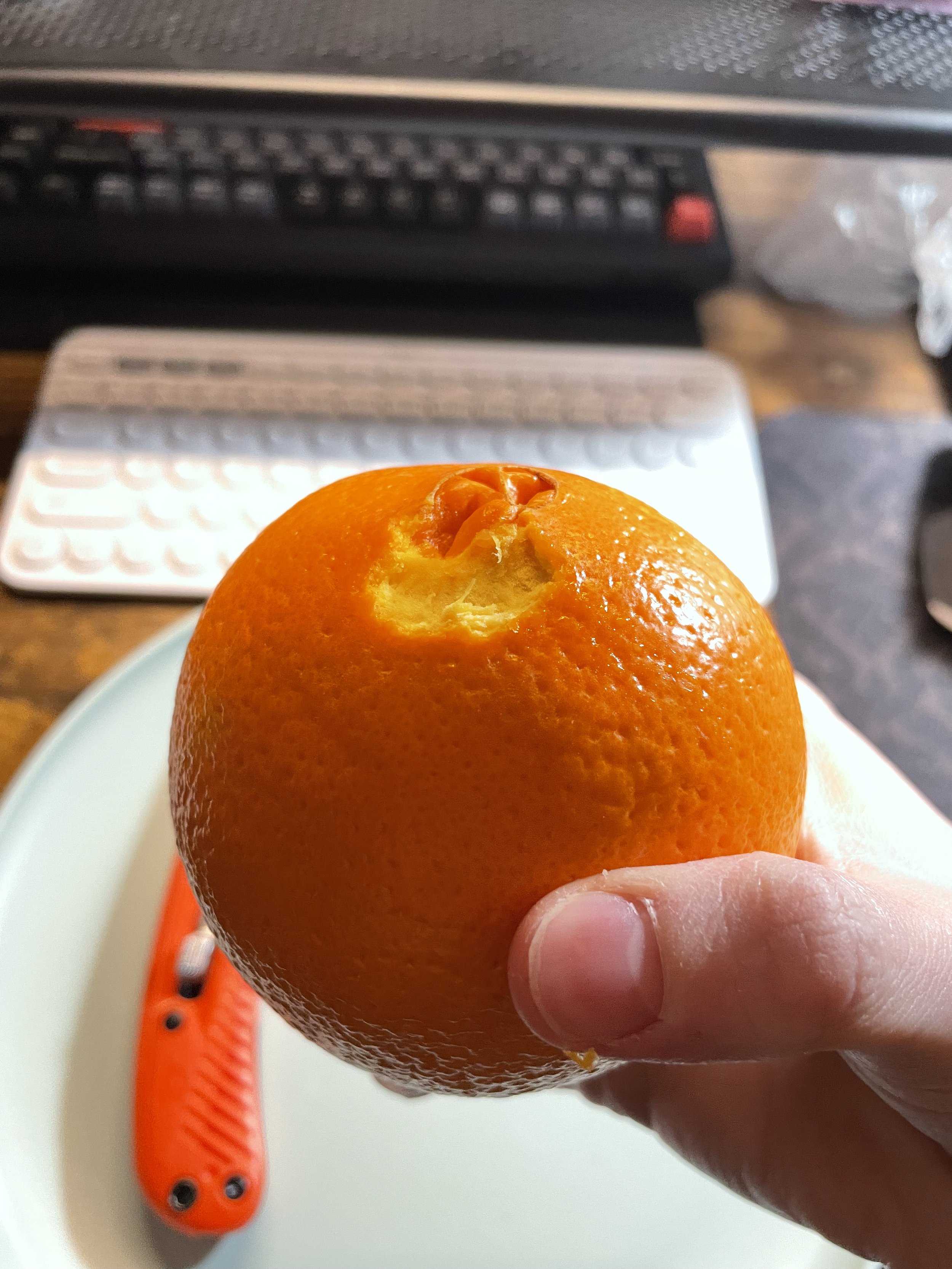 IMG_2066.jpeg