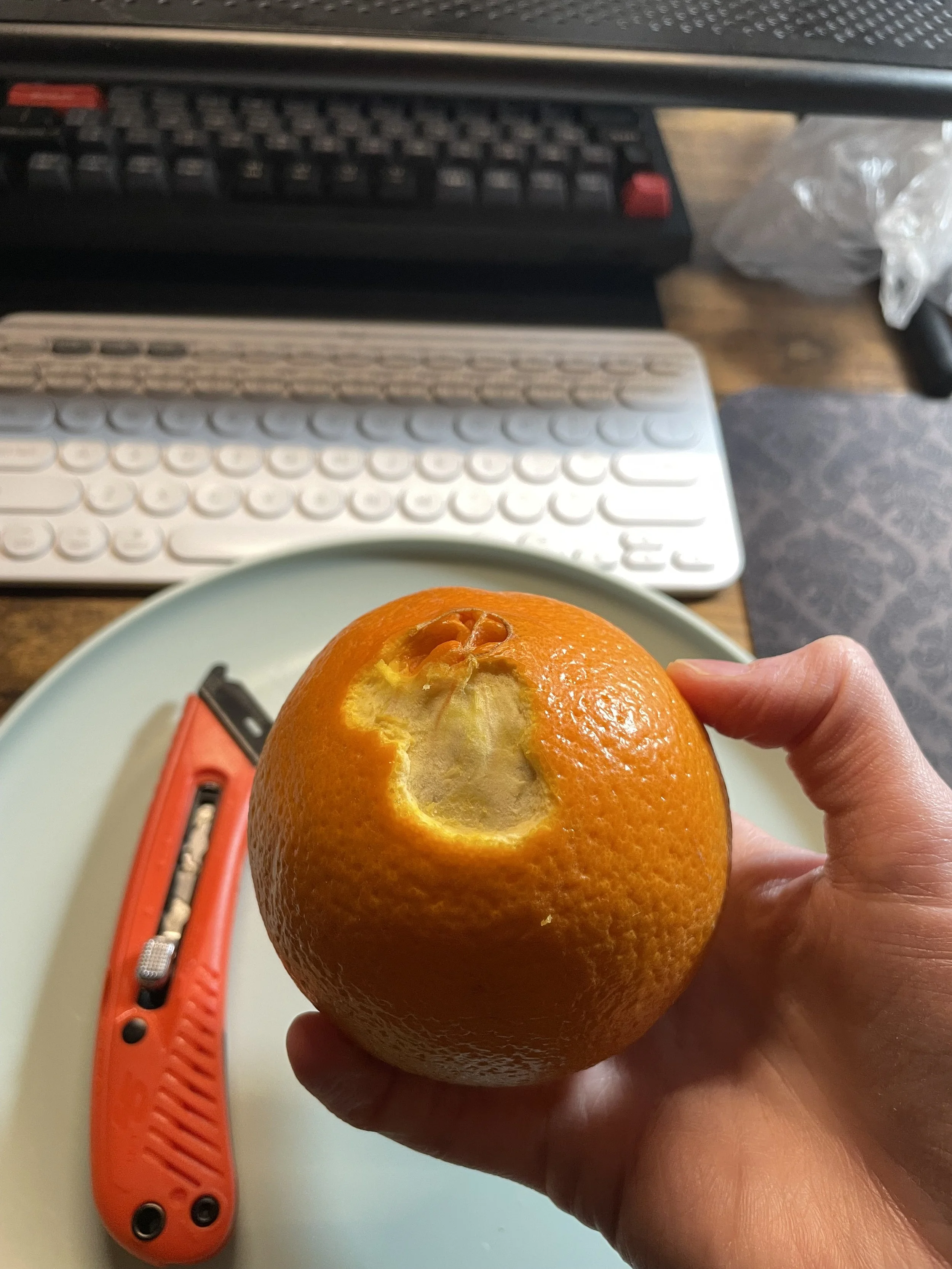 IMG_2067.jpeg