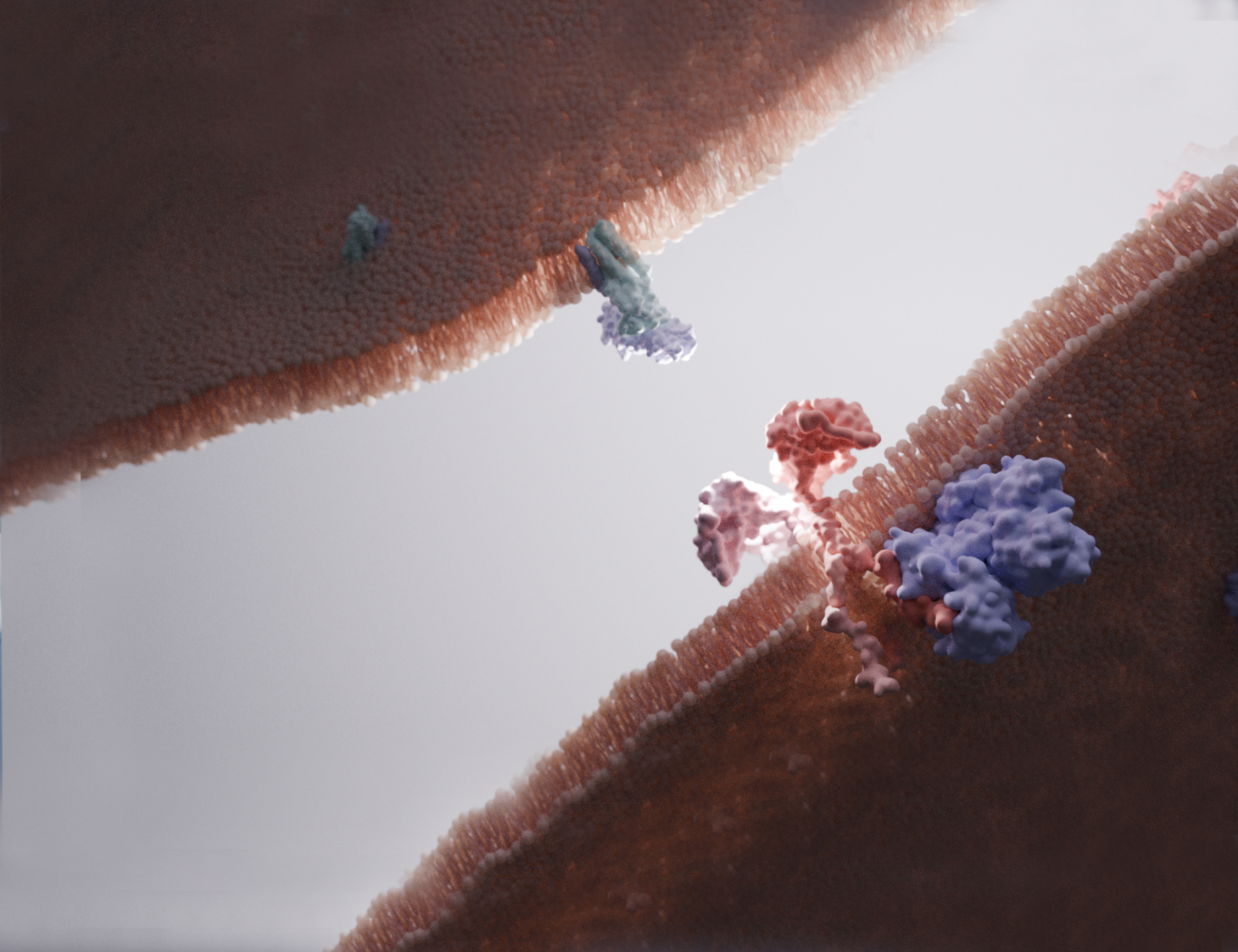 Screenshot 2026-02-03 at 5.03.14 AM.png