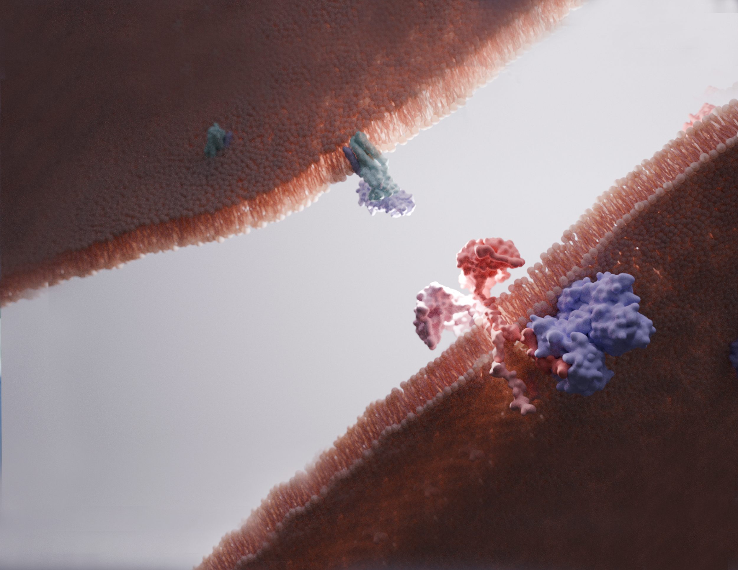 Molecular flyer2 no words.png
