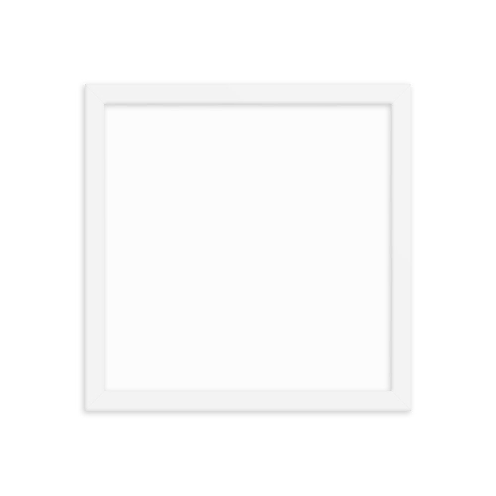 enhanced-matte-paper-framed-poster-(in)-white-12x12-transparent-6570b87b23425.jpg