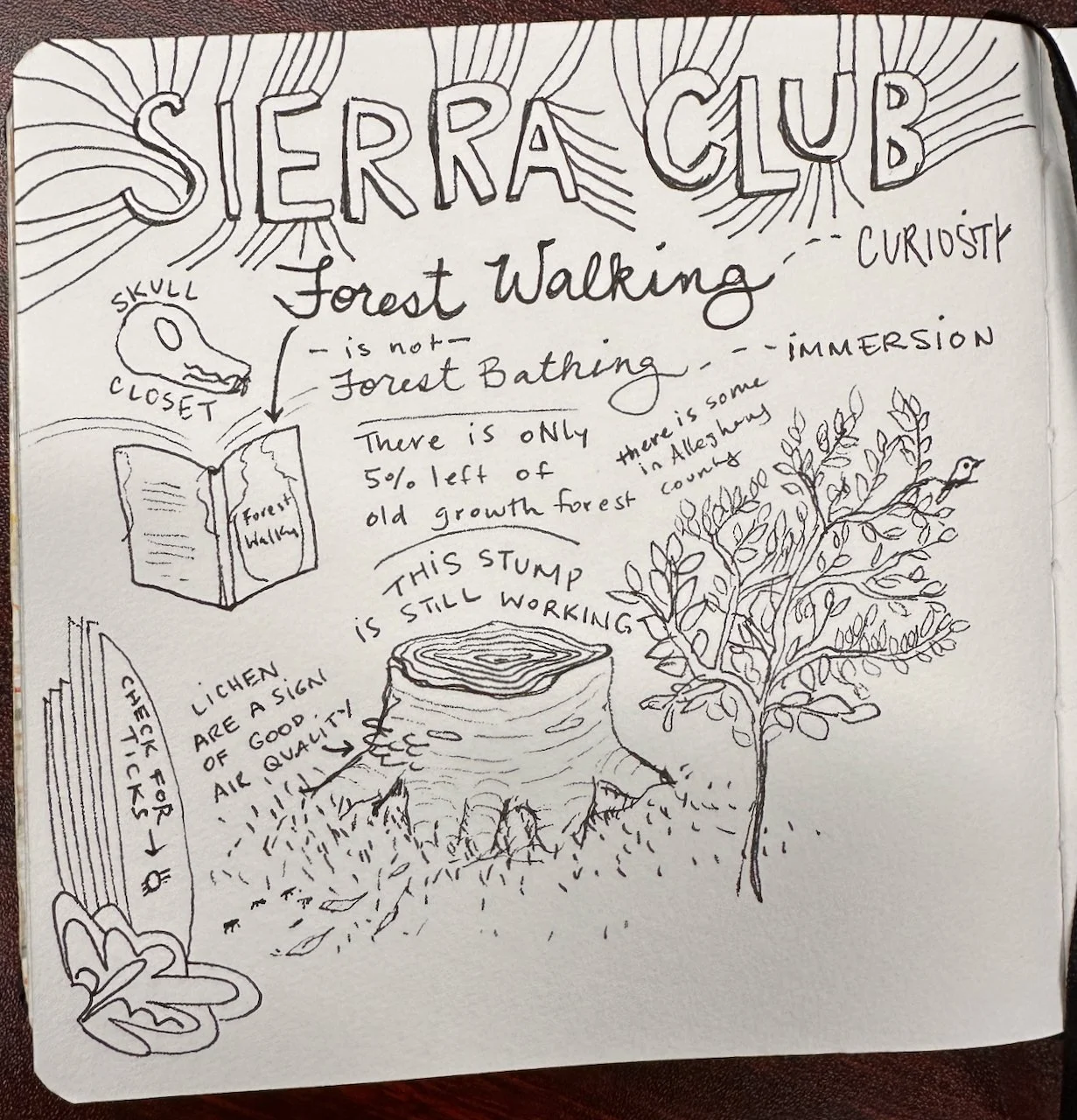 Sierra Club - 1.jpeg