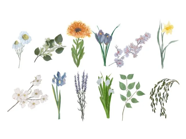 Just Beginnings Brand Illustrations