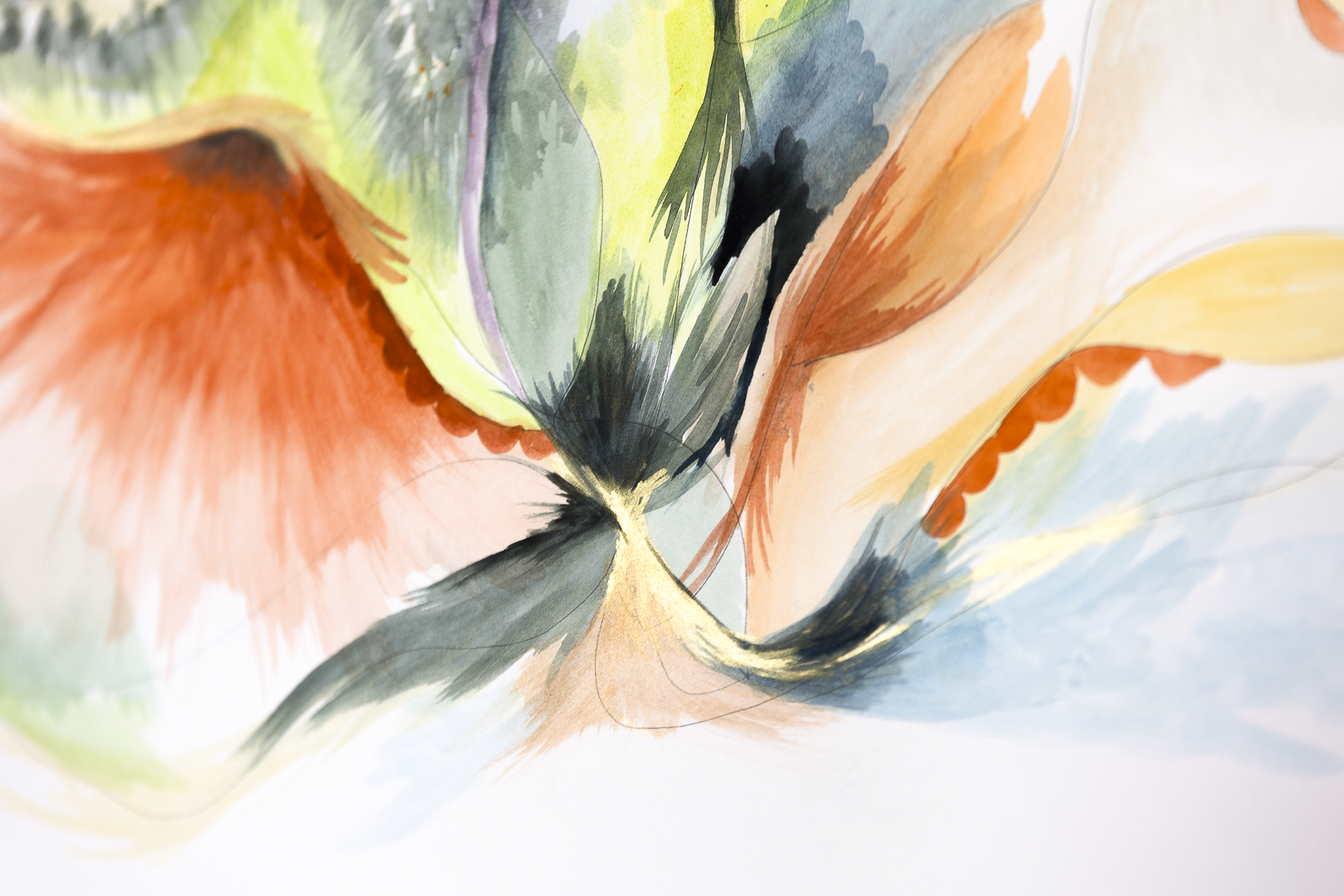 2026_Metamorphasis-3-2.png