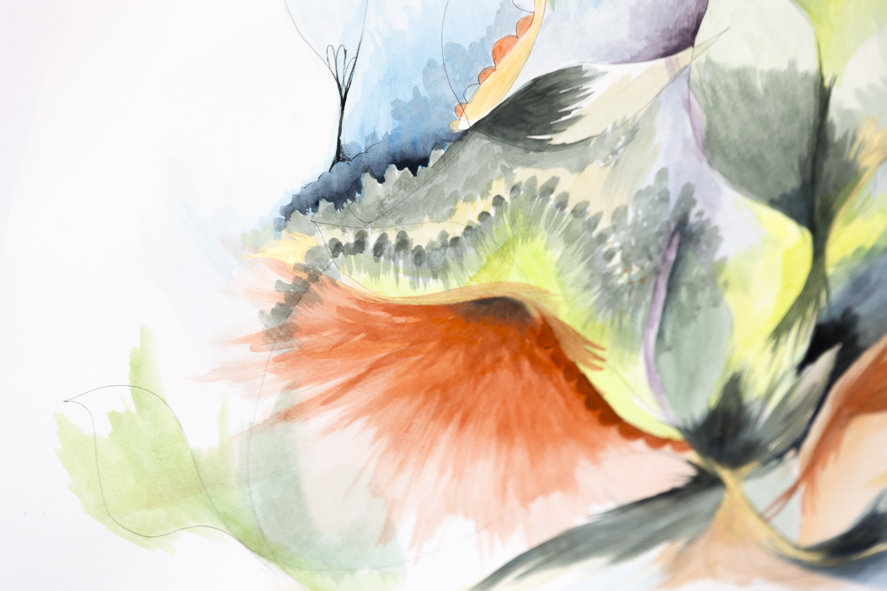 2026_Metamorphasis-1-2.png