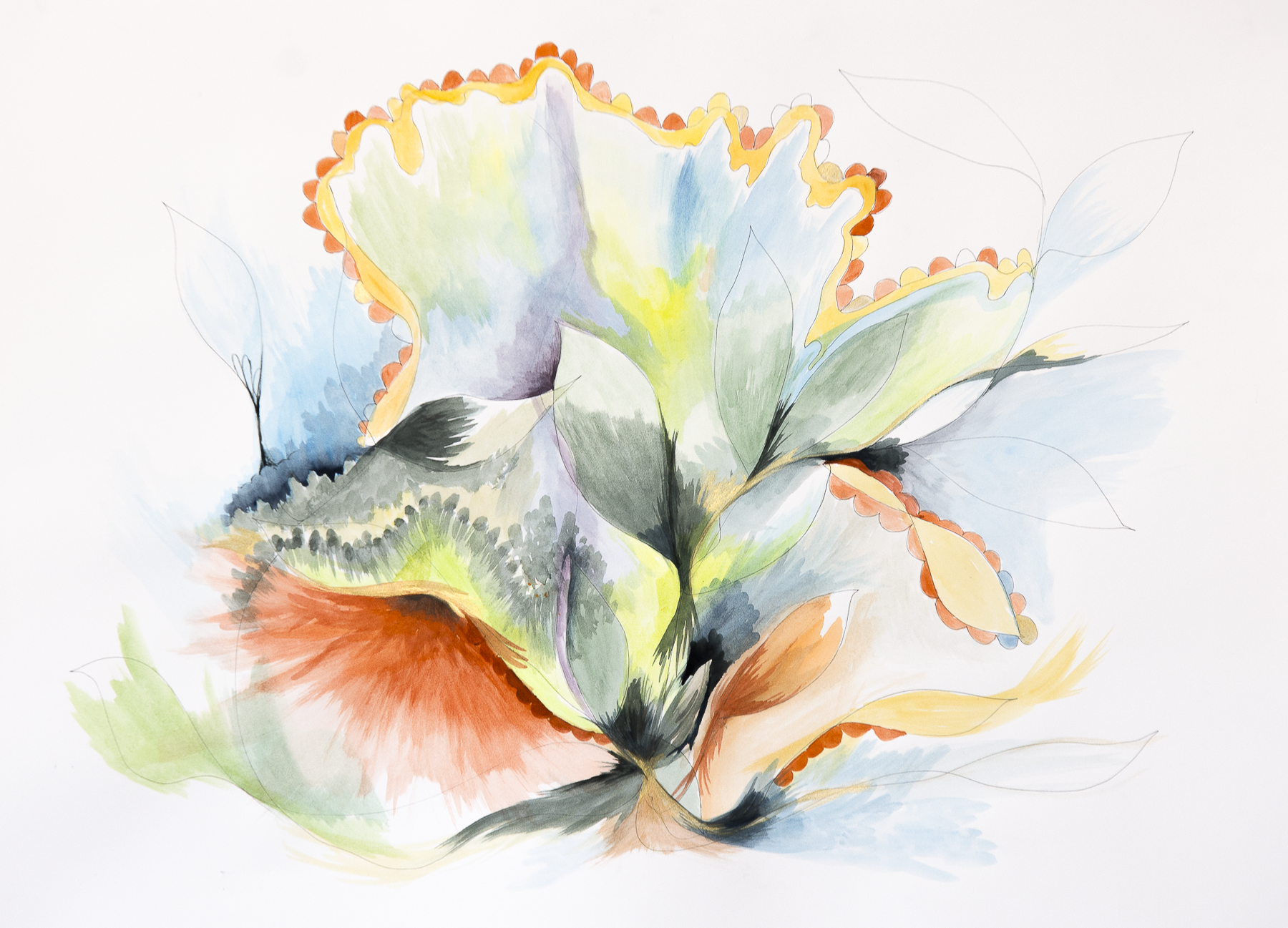 Metamorphosis