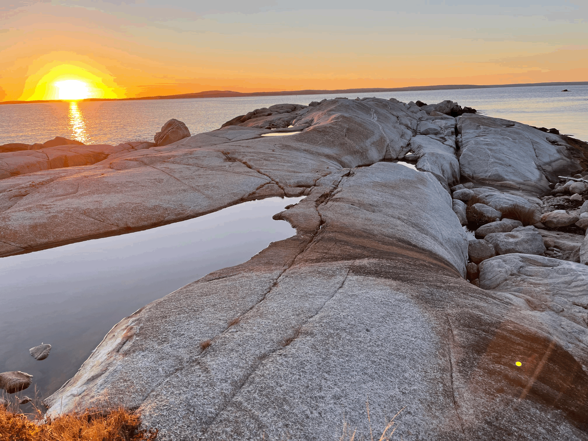 A New Year, Practised One Conversation at a Time