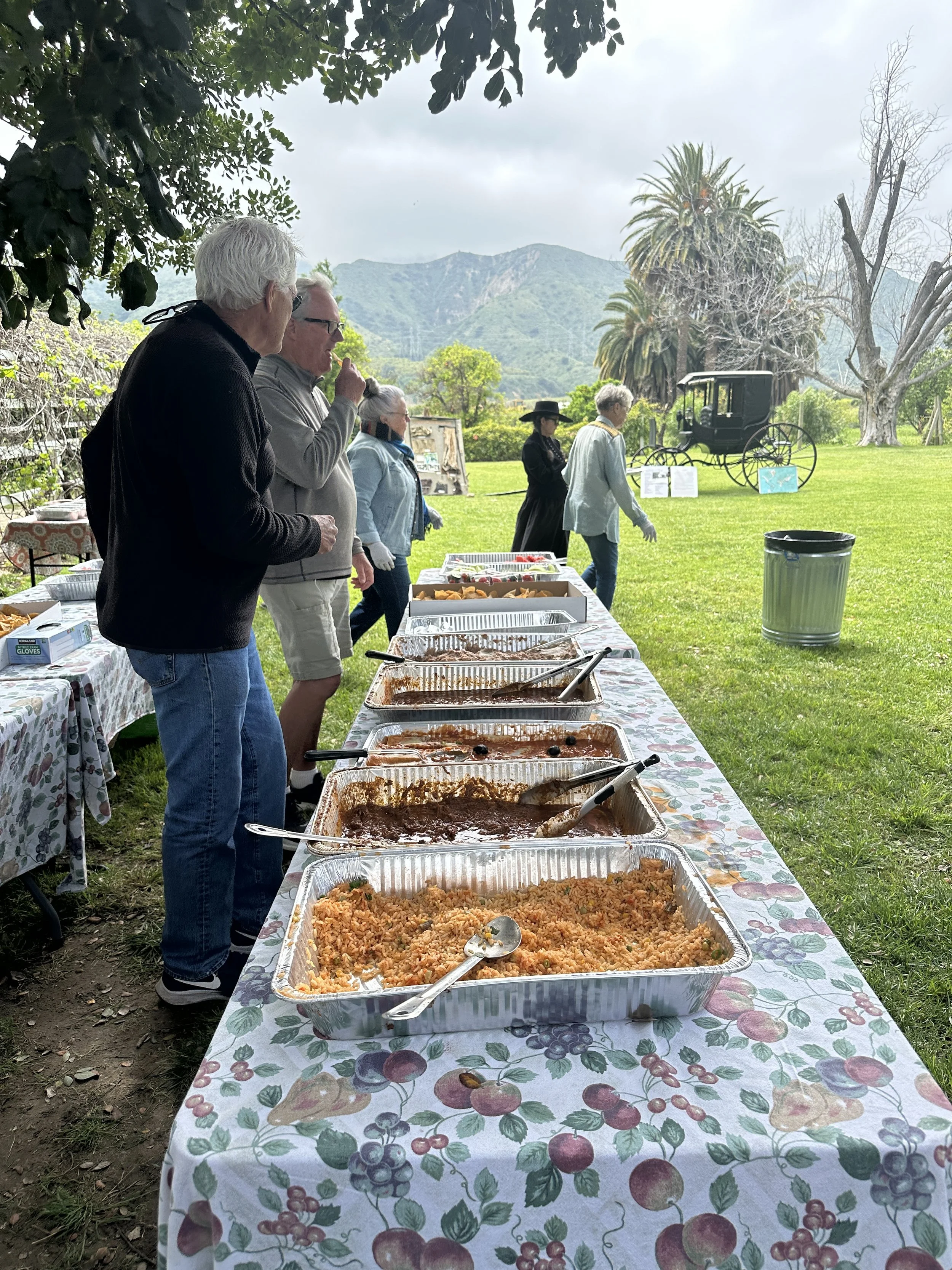 People standing at an outdoor buffet table with trays of food, overlooking a scenic landscape with mountains and palm trees.